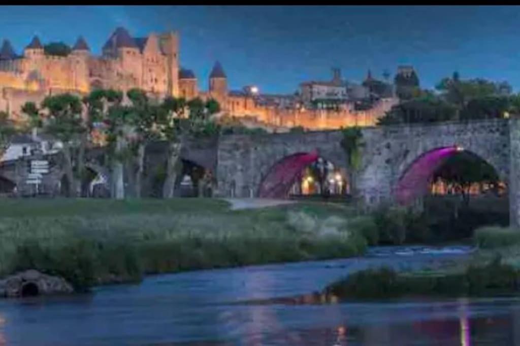 Apartment T2 Avec Vue Chateau Carcassonne