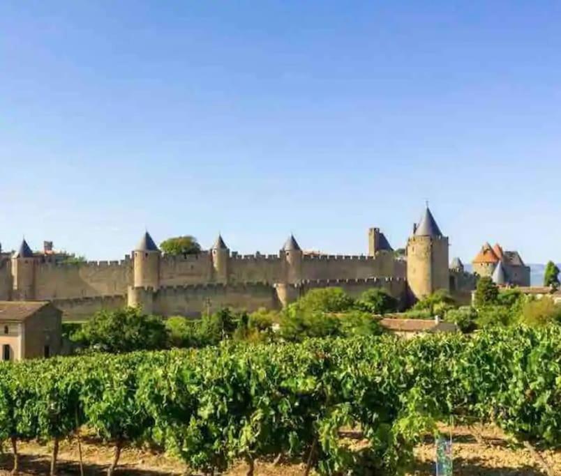 Apartamento T2 Avec Vue Chateau Carcasona